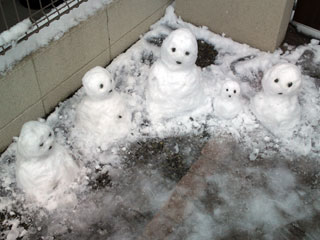 雪だるまたち